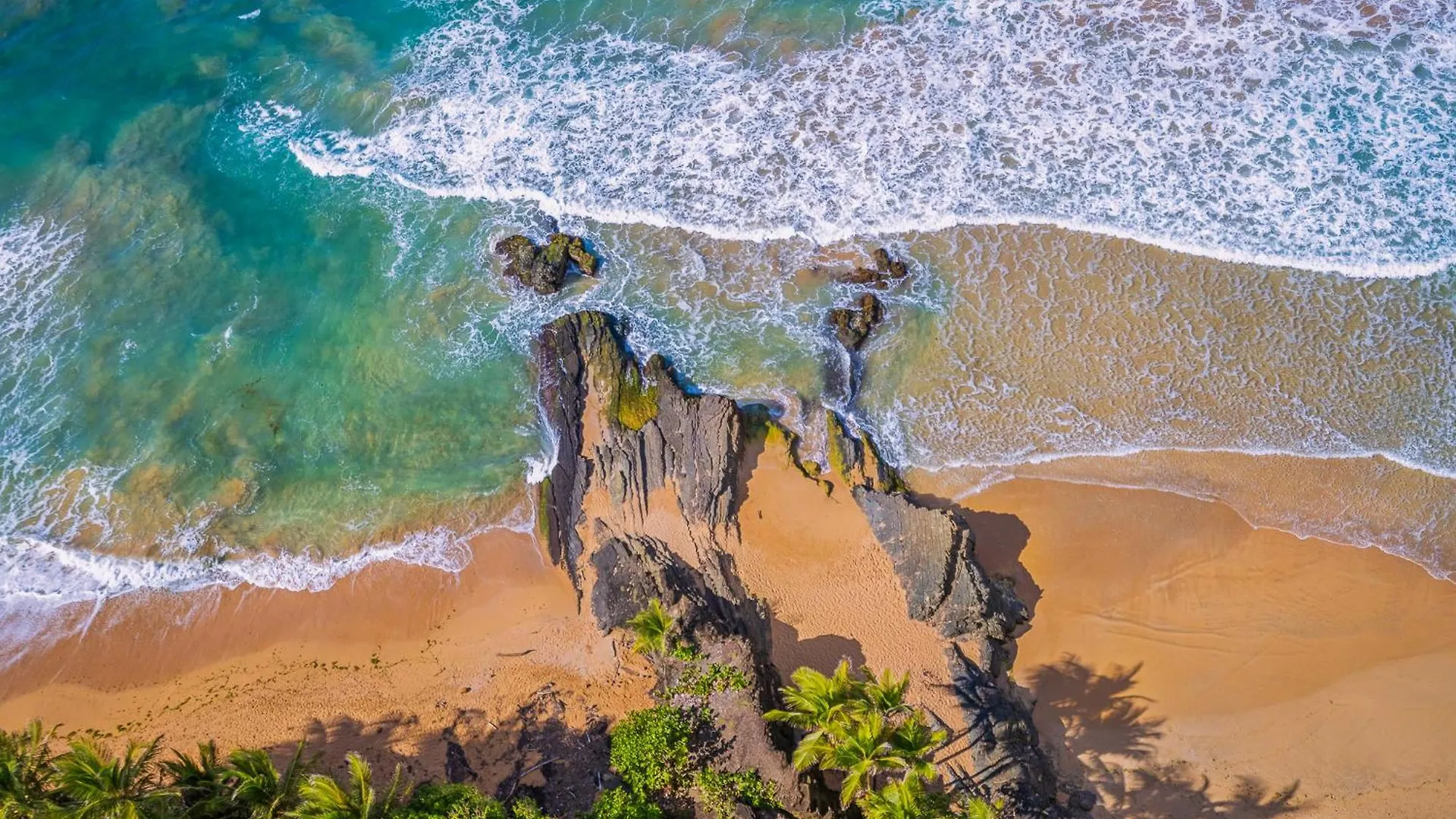 Ocean Front Amazing View - Sandy Hills Luquillo 0*,