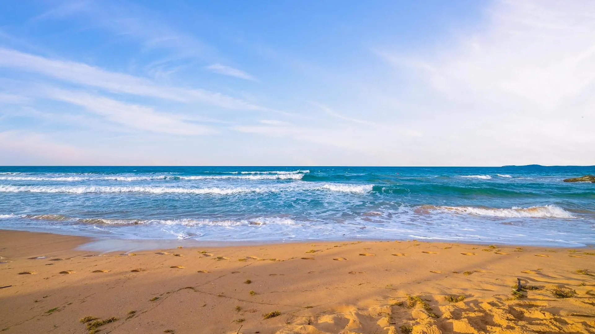 Ocean Front Amazing View - Sandy Hills Luquillo 0*,  Puerto Rico
