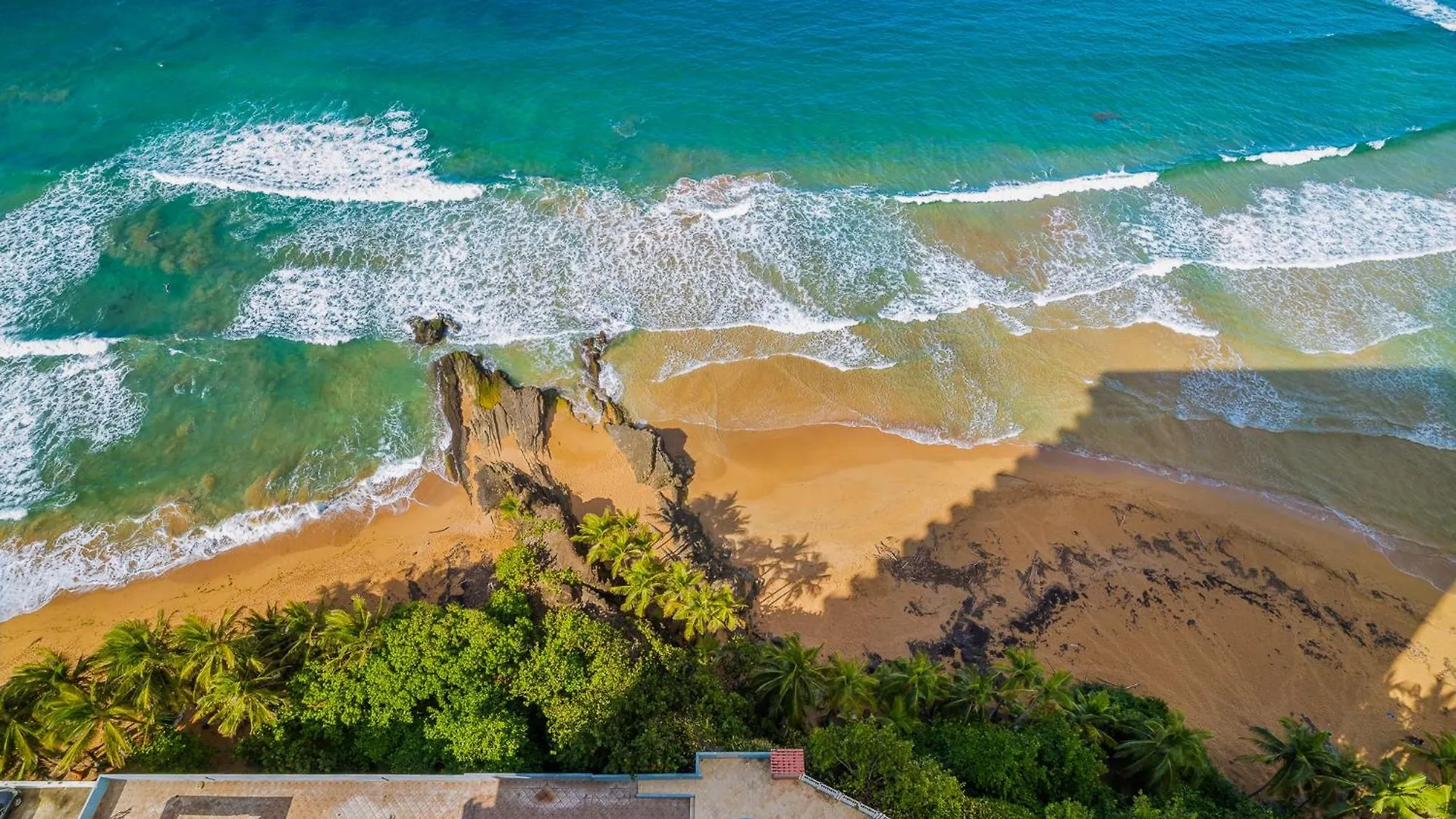 Lejlighed Ocean Front Amazing View - Sandy Hills Luquillo Puerto Rico